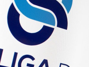 LIGA DE GAIA – Rebranding do Logótipo